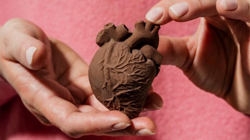 Hands holding a fake heart