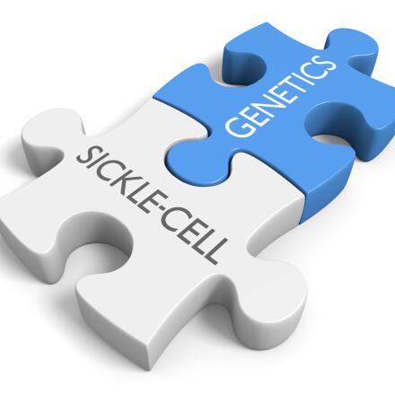 Learn about sickle cell anemia gene therapy using the patient's own stem cells.