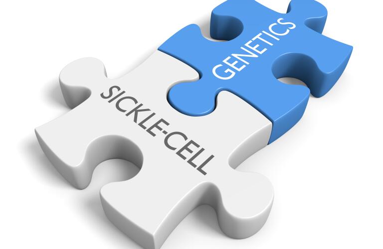 sickle cell and genetics link illustrated by puzzle pieces with the words