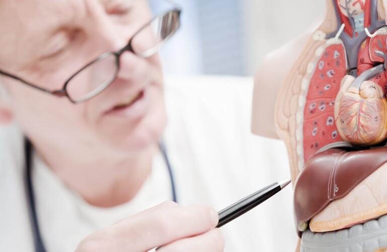 doctor pointing at liver
