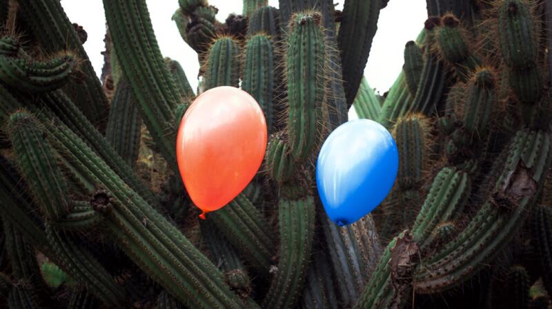 Balloons and cacti