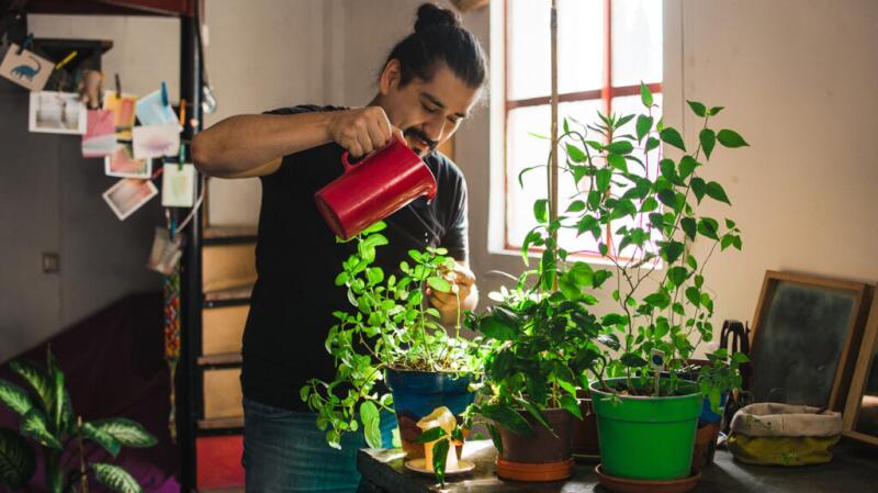 A man waters plants