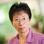 Dr. Hong Li, MD