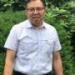 Photo: Dr. In Choi, DDS