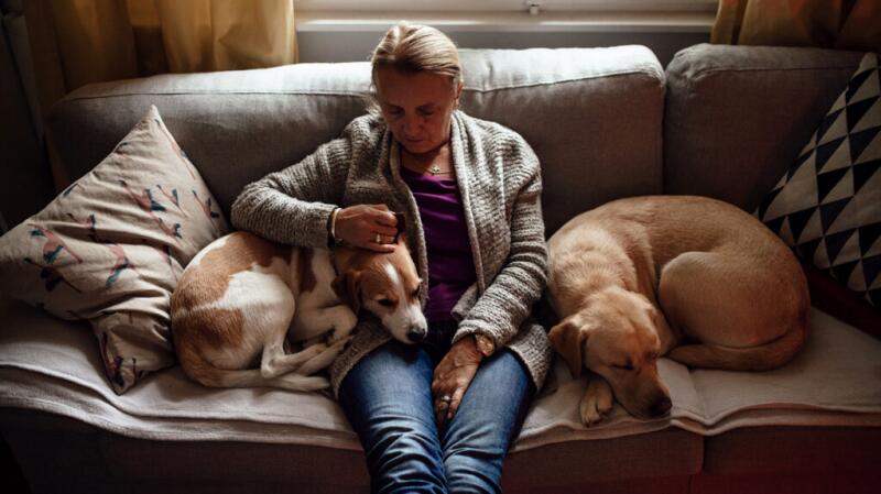 a woman is sitting on a sofa with two dogs