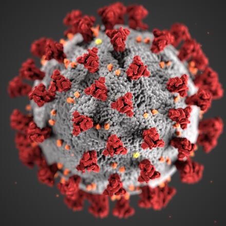 Here's what to know about the new coronavirus (SARS-CoV-2), including how it spreads, the respiratory disease it causes (COVID-19), common symptoms, and treatment options.
