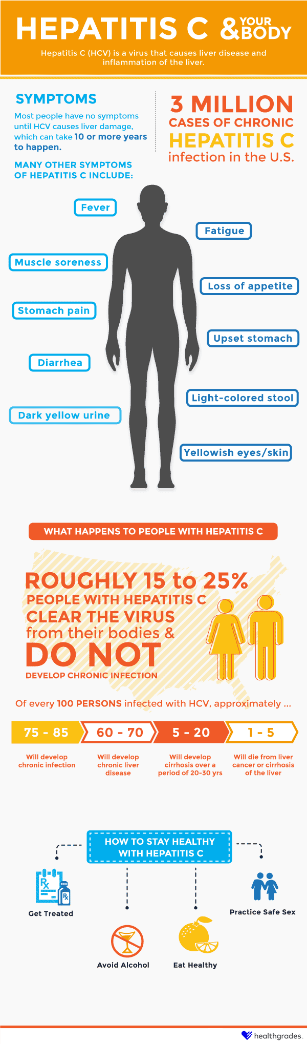 Hepatitis C and Your Body Infographic