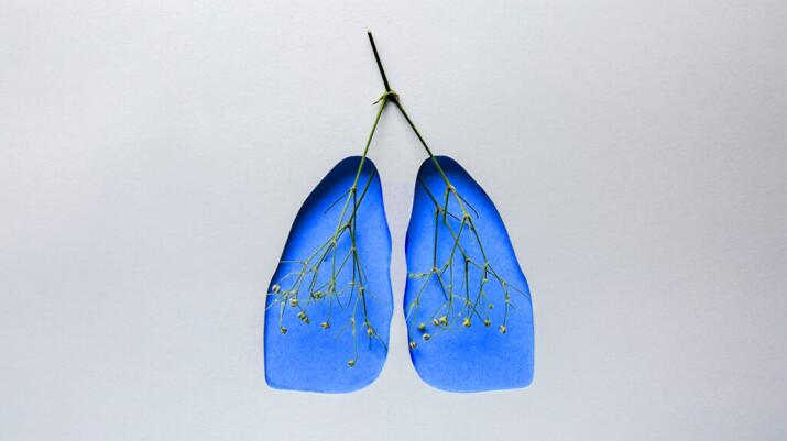 There is a conceptual picture of lungs.