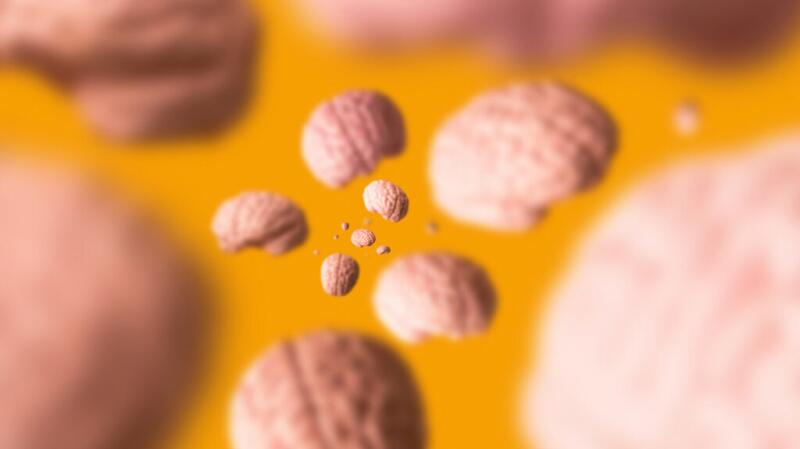 Images of brains floating on a yellow background