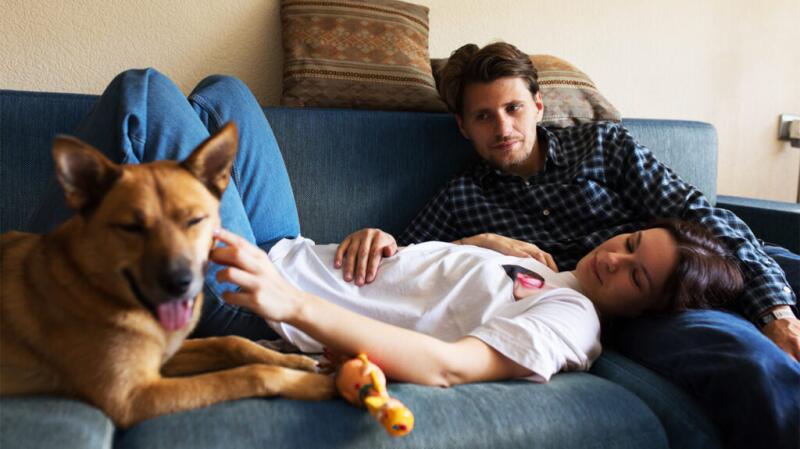 Young couple laying down on the couch with dog