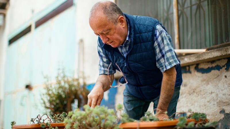 Older man tending to potted plants