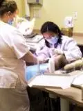 Image of Dr. Chu