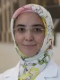 Image of Dr. Guvenc Bicer