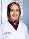 Image of Dr. Kul Ormanoglu